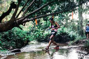 BIB: 
                            <button type="button" onclick="openModal(25399299)" class="btn btn-primary btn-sm float-right btn-popup" data-toggle="modal" data-target=".modal-high-quality">
                        <i class="fas fa-shopping-cart"></i> Add to Cart
                    </button>
                                            <button type="button" onclick="isThisMe(25399299, true)" class="btn btn-success btn-sm float-right btn-popup btn-isme hidden" data-toggle="tooltip" data-placement="bottom" title="นี่คือรูปของคุณใช่ไหม คลิกที่นี่เพื่อเอาเข้าอัลบั้ม">
                        <i class="fas fa-plus"></i> Add to album
                    </button>
                    <button type="button" onclick="isThisMe(25399299, false)" class="btn btn-warning btn-sm float-right btn-popup btn-isnotme hidden">
                        <i class="fas fa-ban"></i> Remove from album
                    </button>